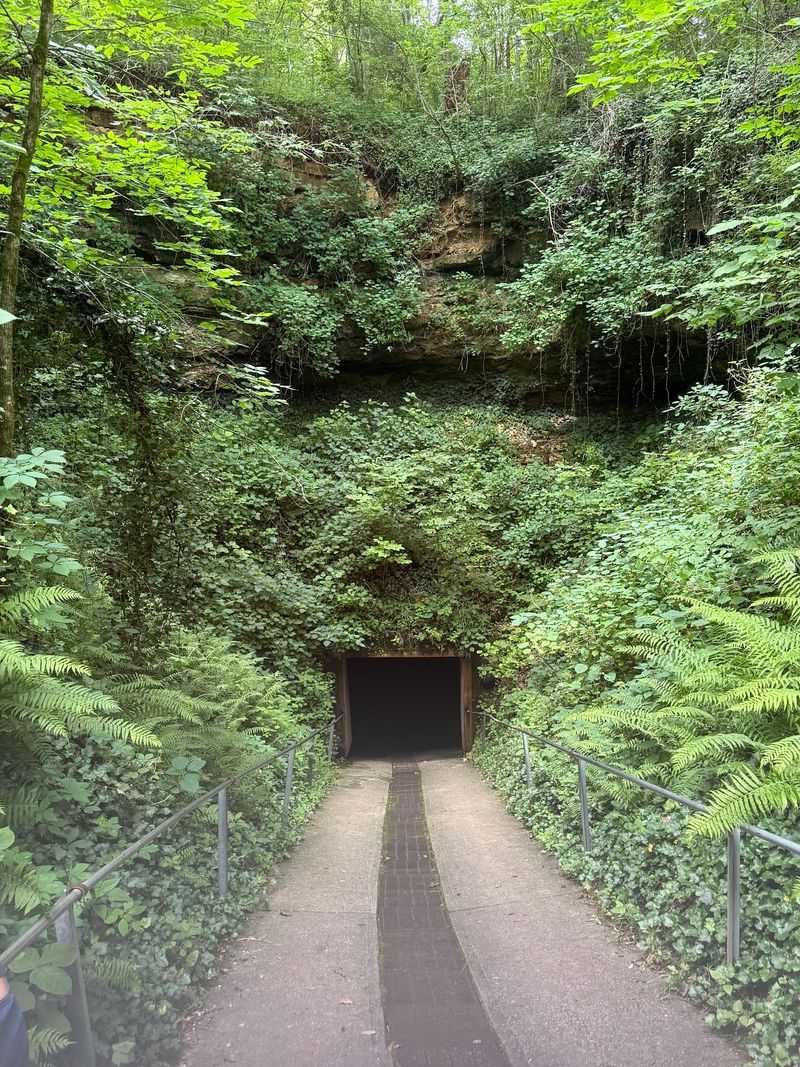 Bluespring Caverns Park, Bedford, IN Bluespring Caverns Park, Bedford, IN