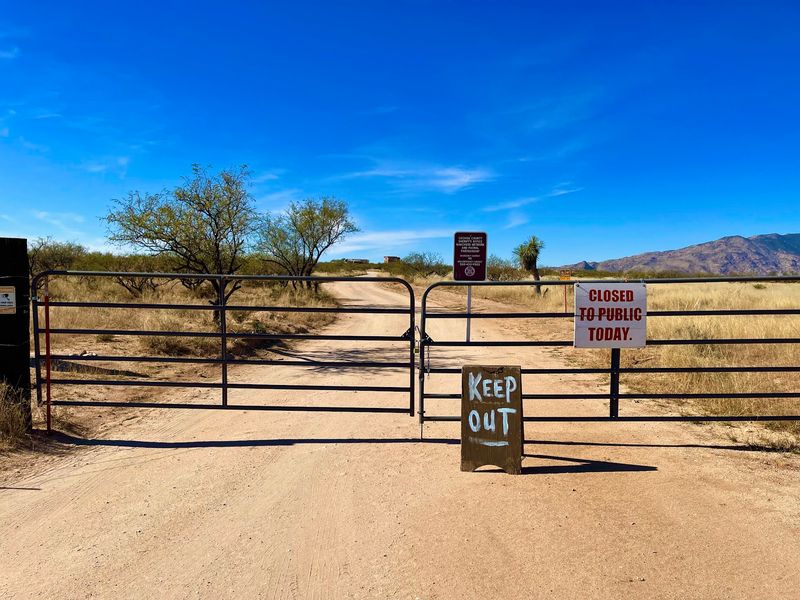 Booking Tips and the Final Roundup Booking Tips and the Final Roundup