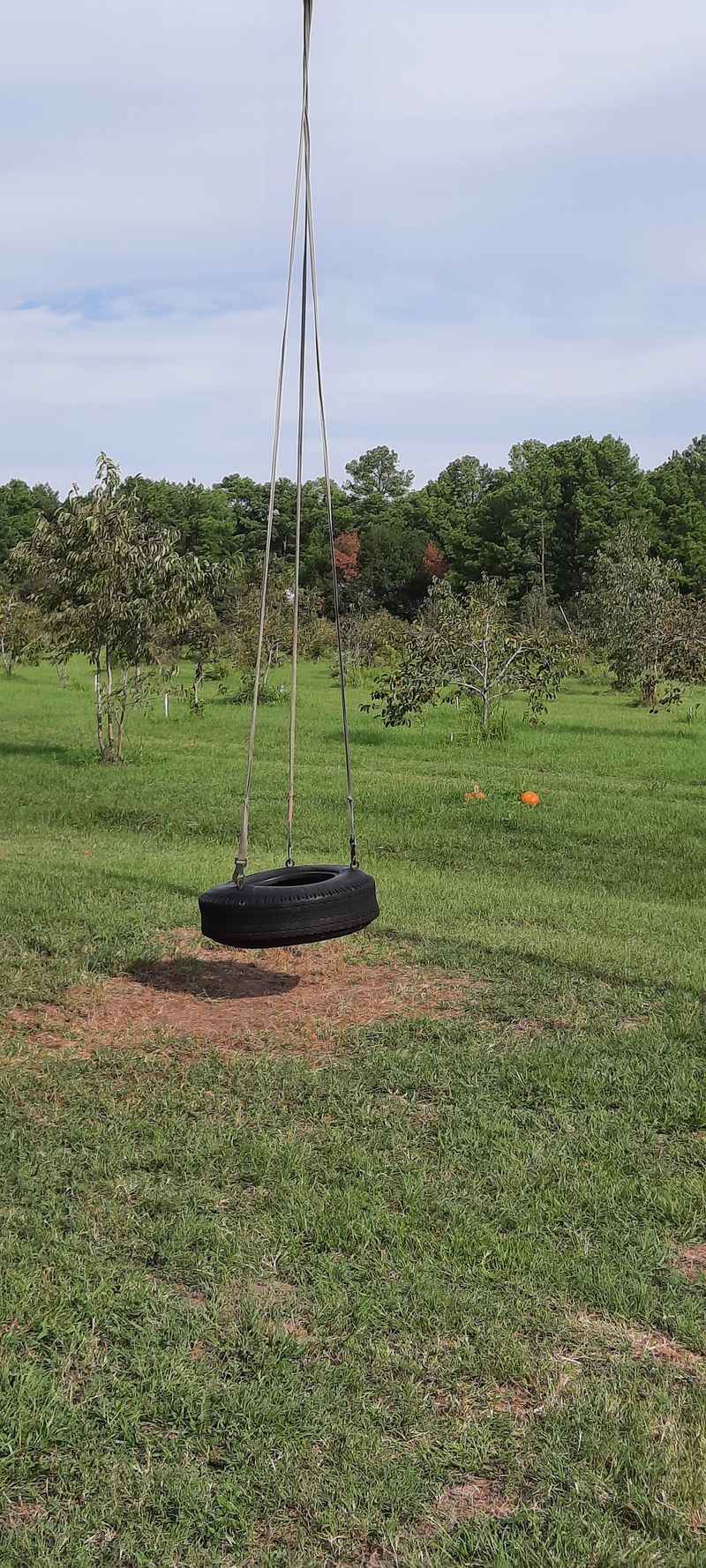 Bounce Houses, Tire Swings and Room to Run Bounce Houses, Tire Swings and Room to Run