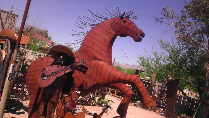 Bragging Rights For Arizona Locals Bragging Rights For Arizona Locals