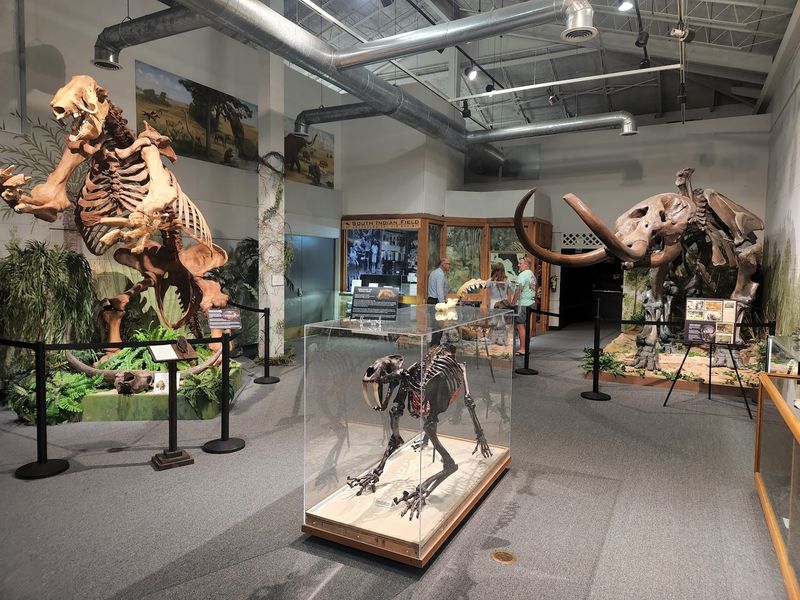 Brevard Museum of History & Natural Science, Cocoa, FL