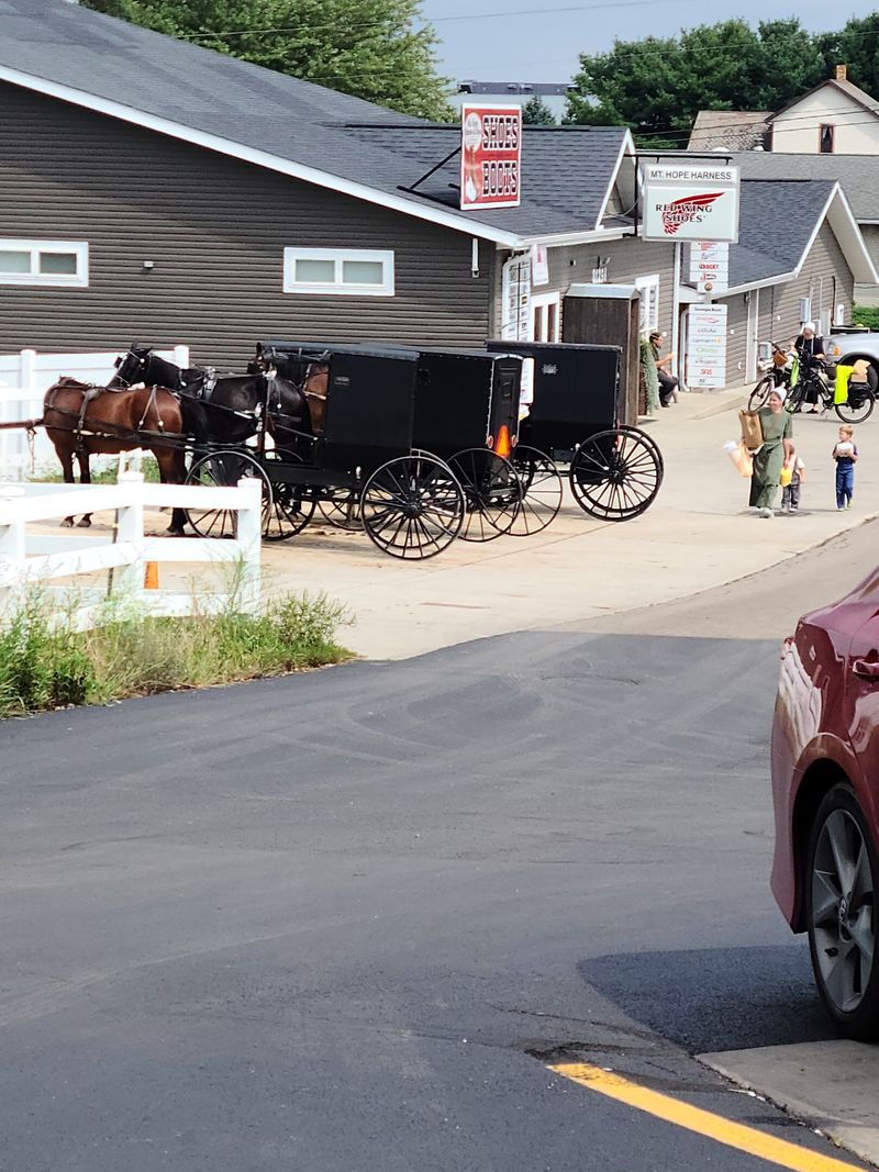 Buggies, Back Roads, and a Very Good Sign