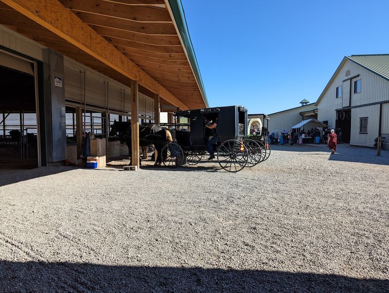 Buggy Rides and Pony Trots Buggy Rides and Pony Trots