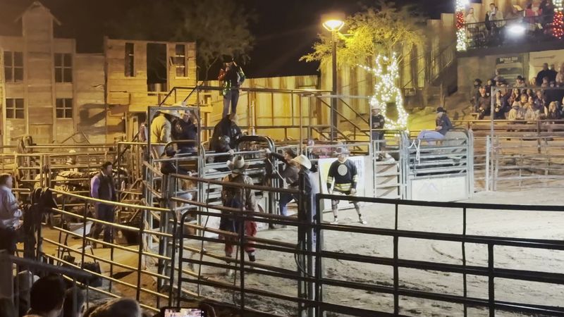 Bull Riding Nights Out Back