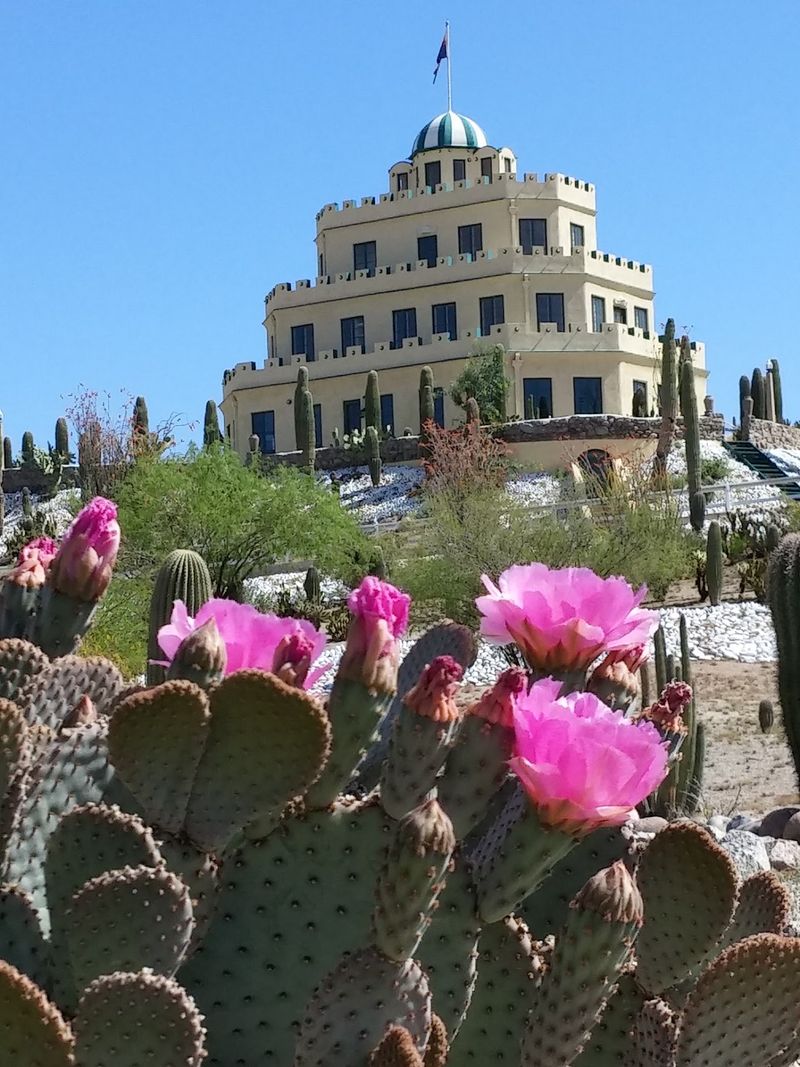 Cactus Gardens Fit for Royalty