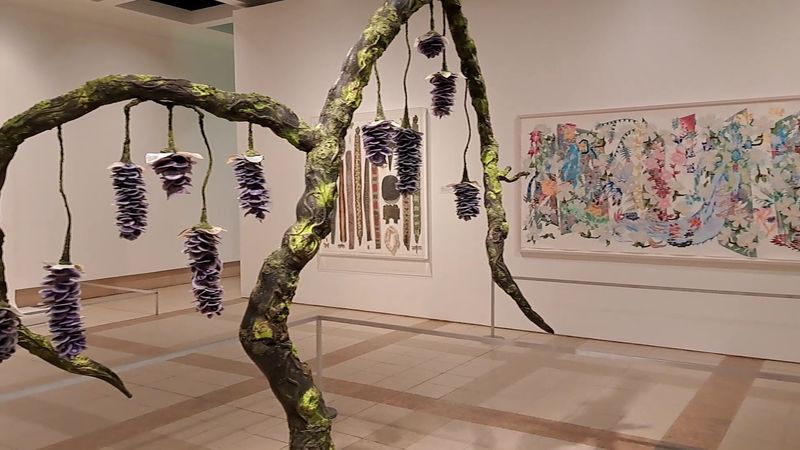 Calm Galleries and Rotating Exhibits Calm Galleries and Rotating Exhibits