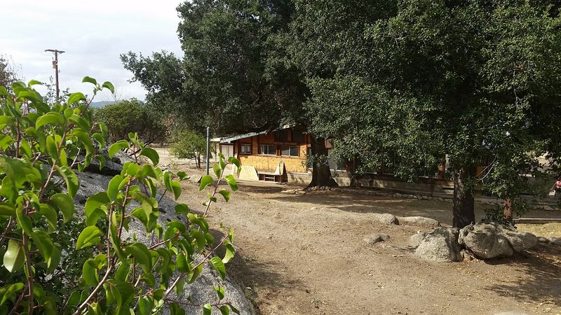 Campo