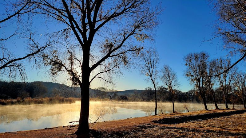 Campsites, Cabins, and Overnight Stays
