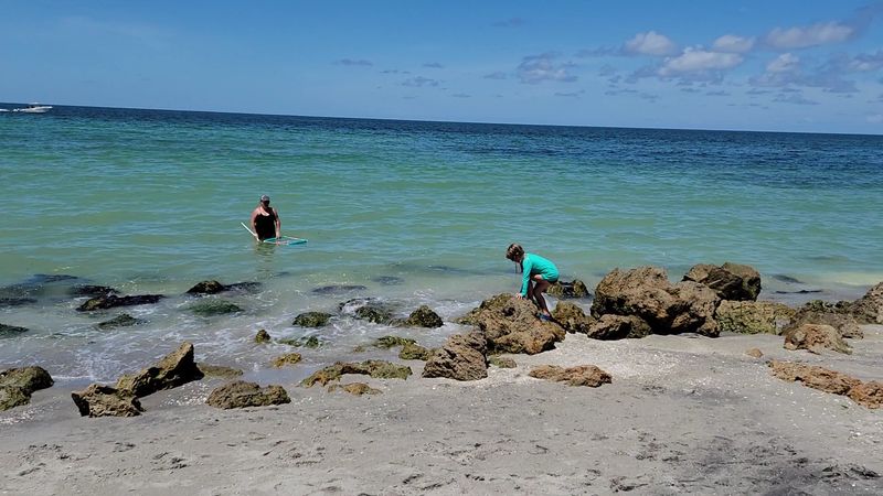 Caspersen Beach, Venice, FL Caspersen Beach, Venice, FL
