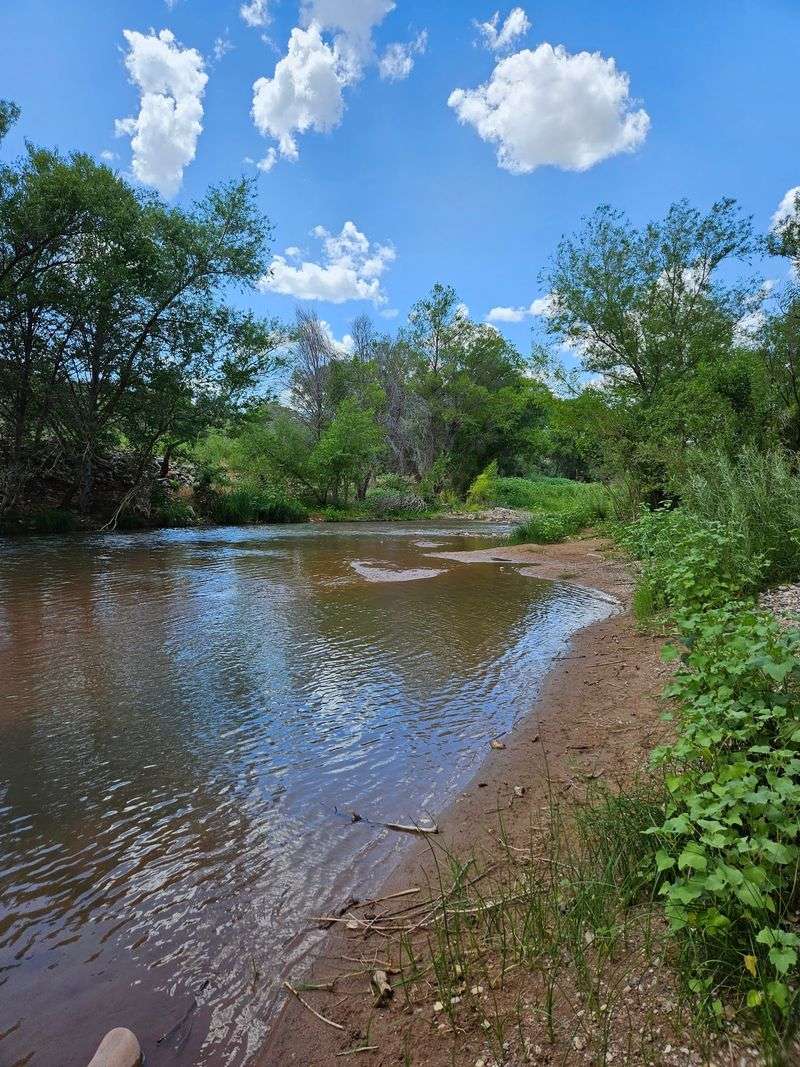 Casting a Line by the Verde
