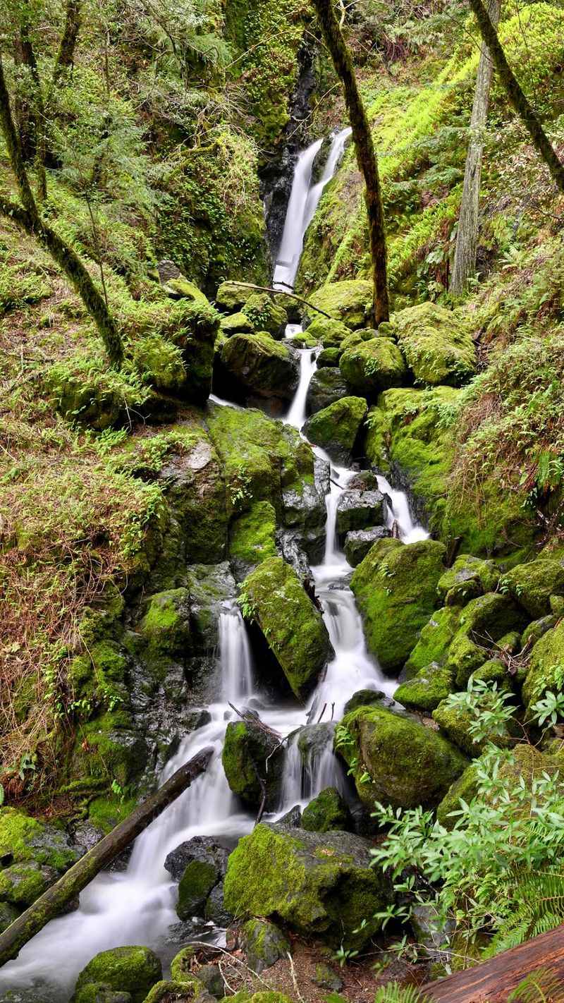 Cataract Falls, Stinson Beach, CA Cataract Falls, Stinson Beach, CA