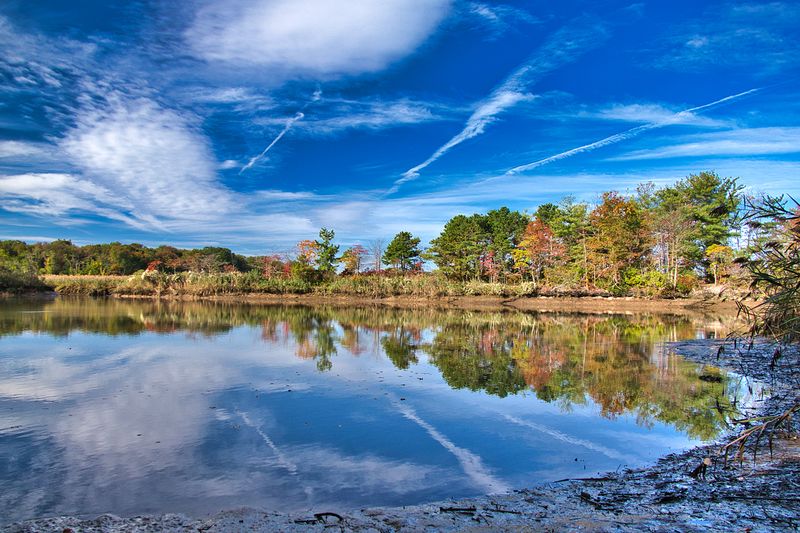 Cheesequake State Park, Matawan, NJ Cheesequake State Park, Matawan, NJ