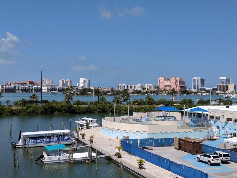Clearwater Marine Aquarium, Clearwater, FL