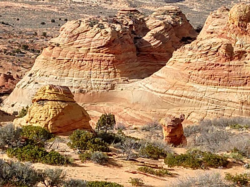 Condors Over the Cliffs