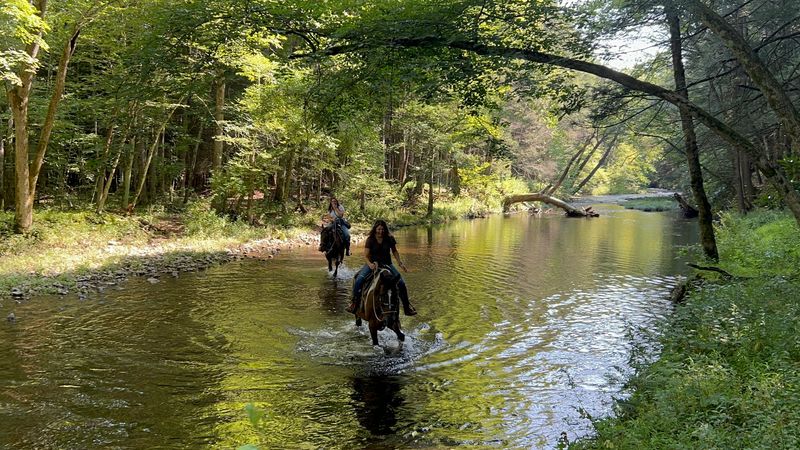 Creek Crossings Worth Getting Hooves Wet Creek Crossings Worth Getting Hooves Wet