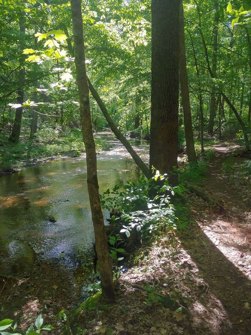 Creek Crossings and Muddy Boots