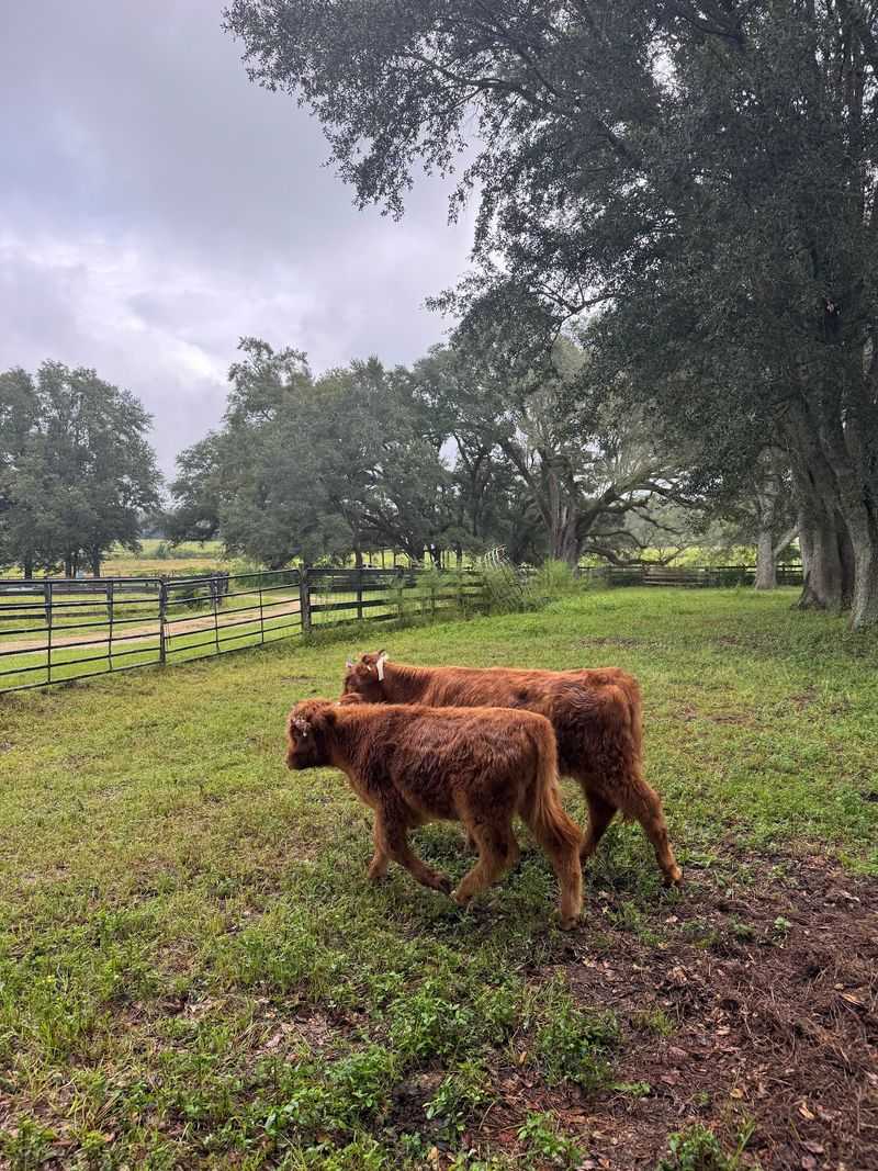 Cypress Creek Ranch, Bonifay, FL Cypress Creek Ranch, Bonifay, FL