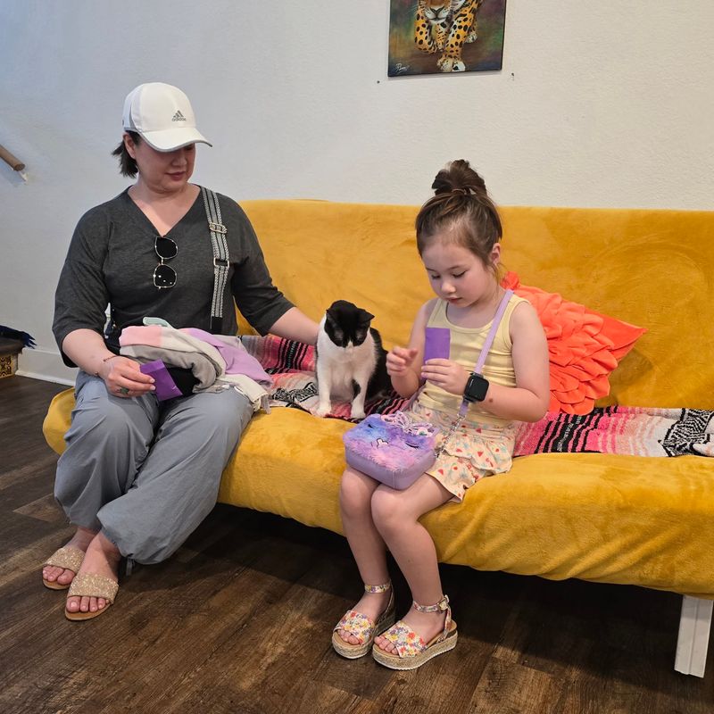 Dates, Families, and Cat-Free Apartments