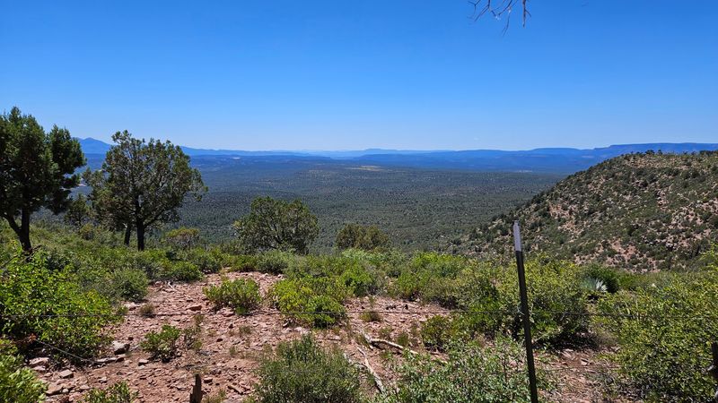 Diamond Point