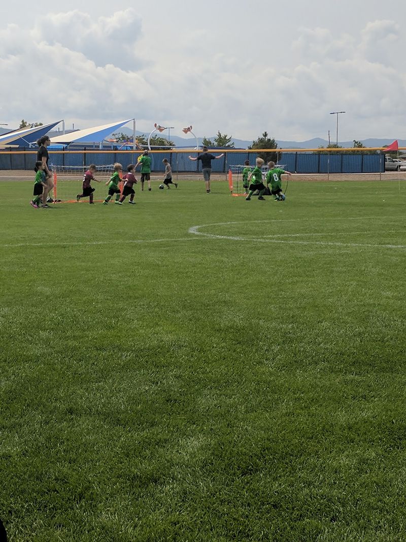 Diamonds, Courts, and Soccer Turf