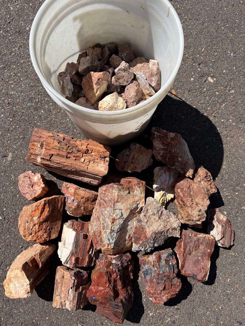 DoBell Mineral & Excavations @ The DoBell Ranch, Holbrook, AZ