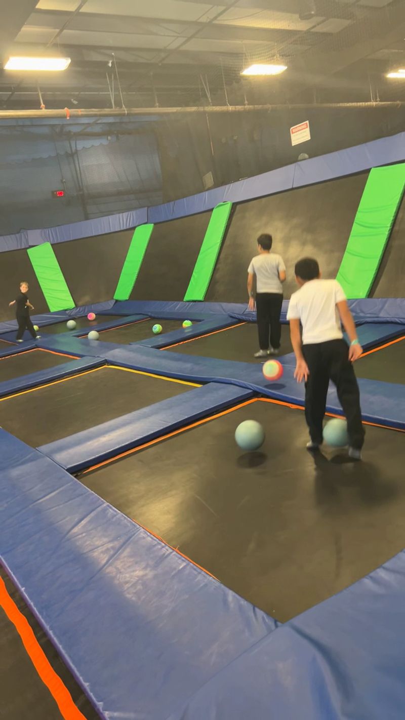 Dodgeball and Bumper Cars