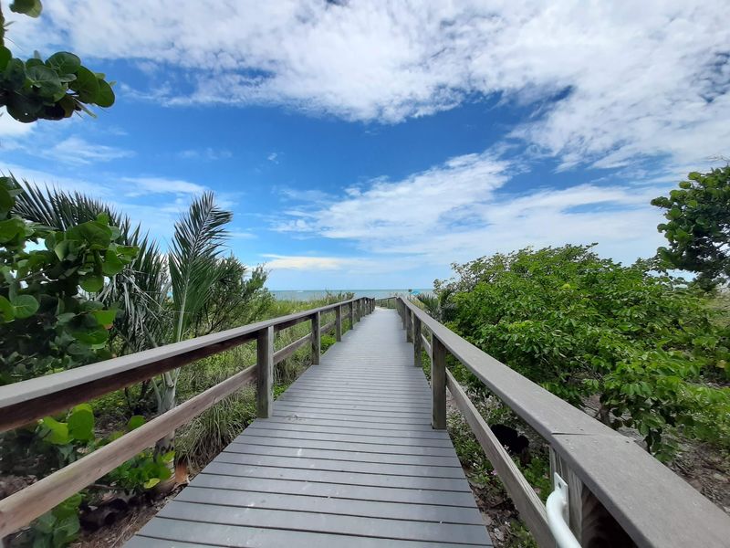 Dolphins, Manatees, and Protected Nests