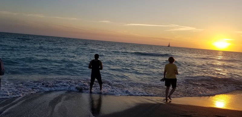 Dolphins Offshore, Views for Days Dolphins Offshore, Views for Days