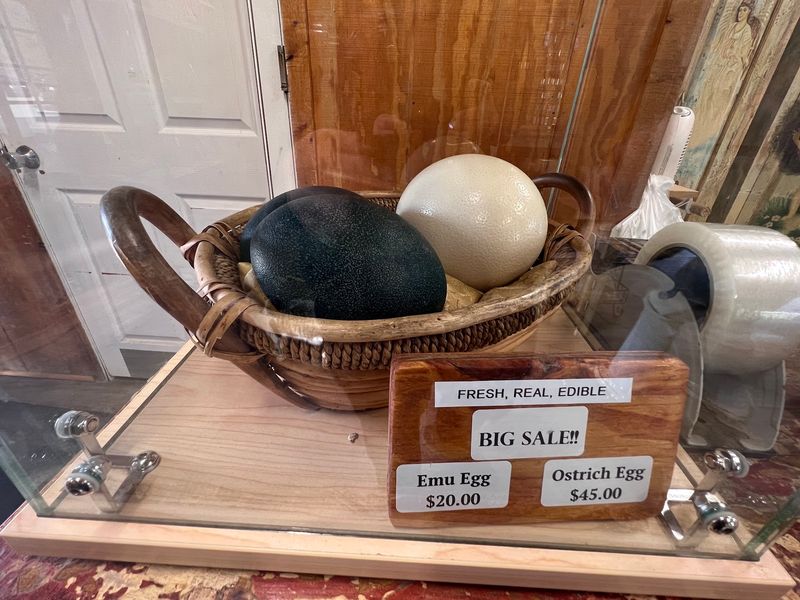 Eggs the Size of a Surprise
