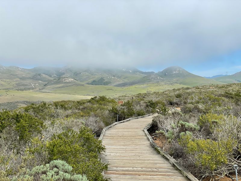 El Moro Elfin Forest, Los Osos, CA El Moro Elfin Forest, Los Osos, CA