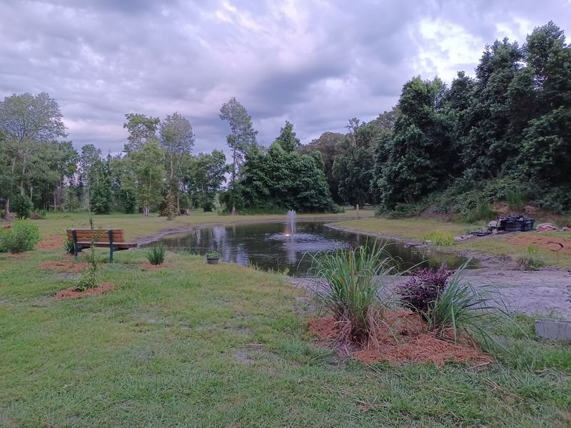 Evenings by the Pond Evenings by the Pond