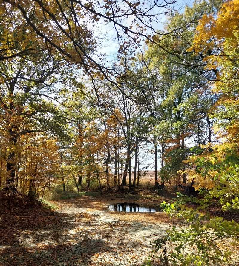 Fall Colors and Gentle Walks Fall Colors and Gentle Walks