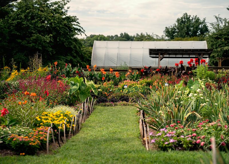 Farm Stand and Market Days Farm Stand and Market Days