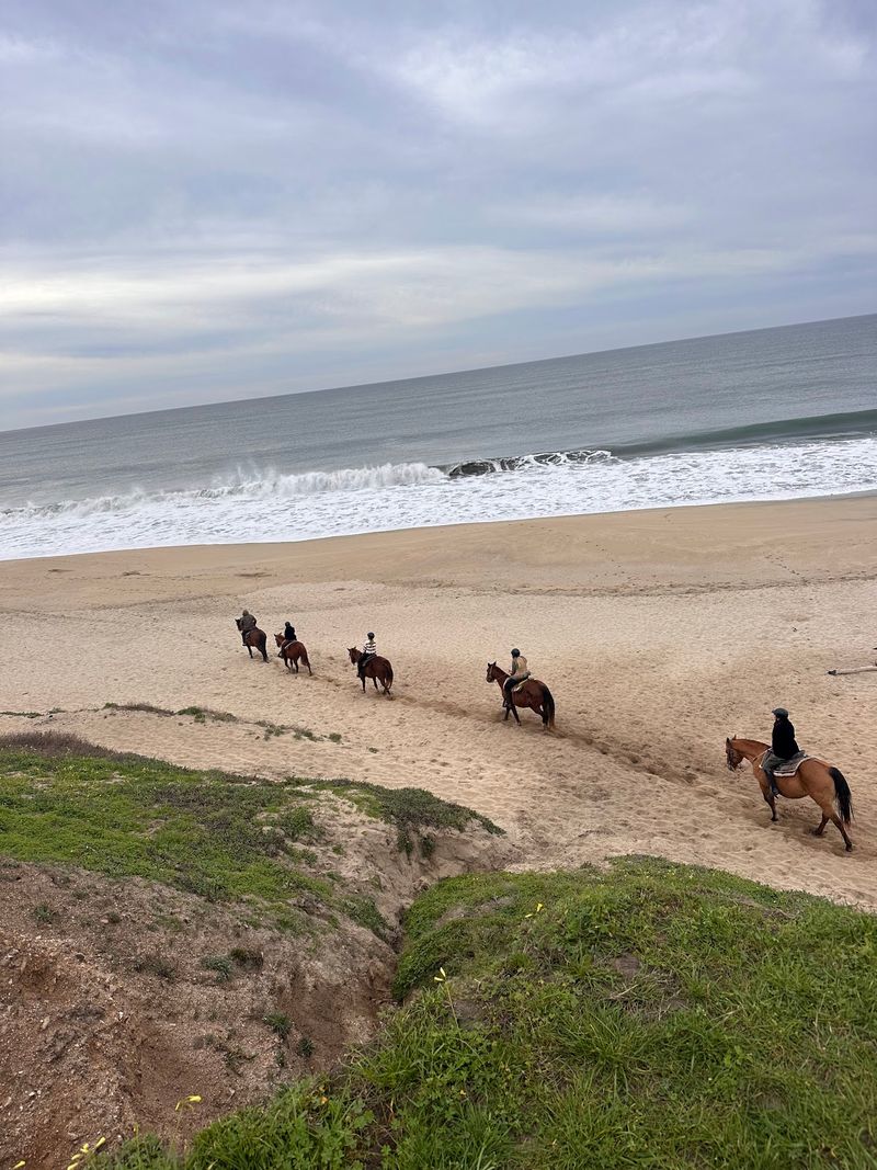 Fields, Creek, Bluff, and Beach Fields, Creek, Bluff, and Beach