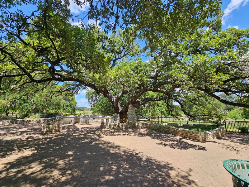 Founders Oak, New Braunfels, TX Founders Oak, New Braunfels, TX