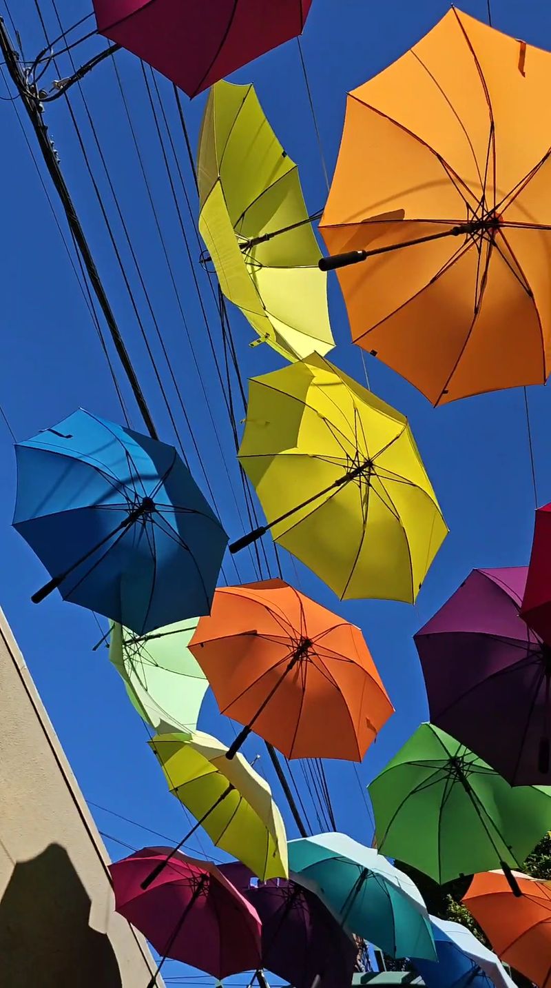 Four Hundred Umbrellas Up Above