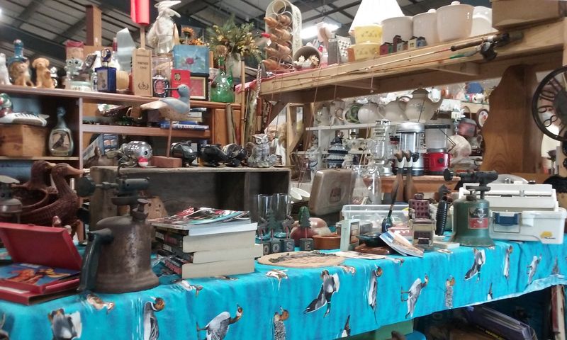 Four Seasons Flea & Farm Market, Youngstown, OH