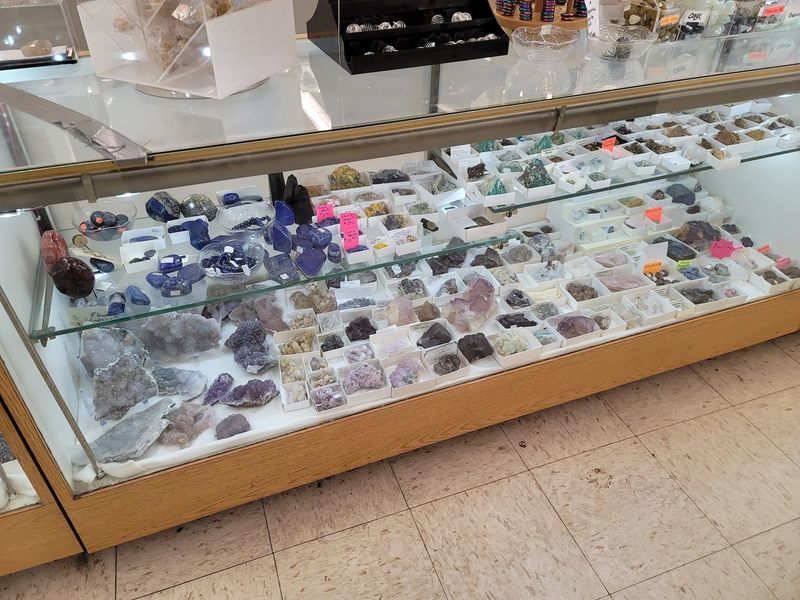 Fresh Finds Almost Every Day
