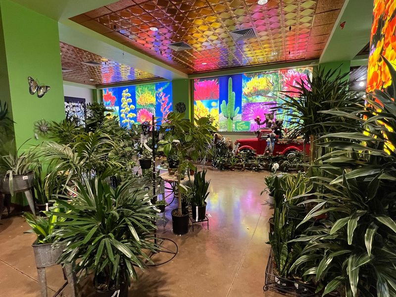 From Cozy Nursery to Sprawling Showplace From Cozy Nursery to Sprawling Showplace
