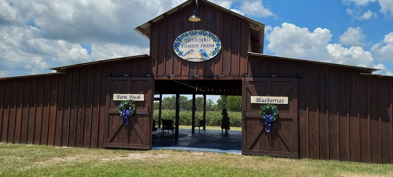 From Proctor Family Farm to Bluebird