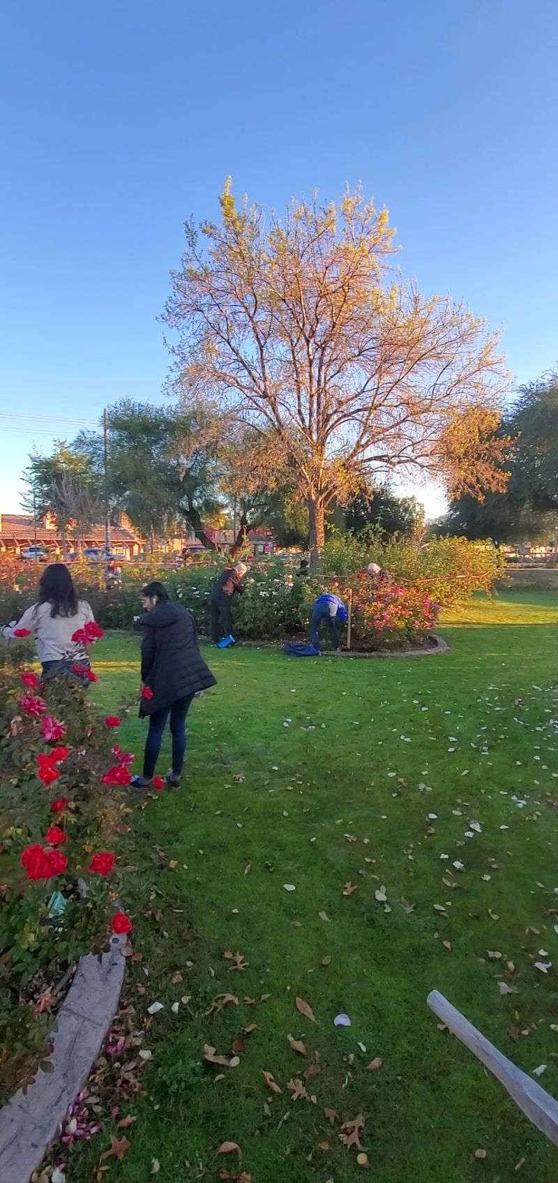 Gardeners Behind the Blooms Gardeners Behind the Blooms