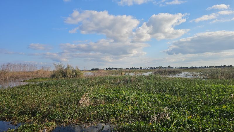 Gator Bites, Karaoke, and Lakeside Evenings