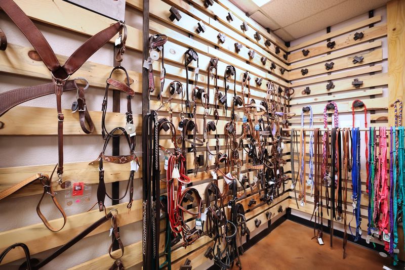 Girths, Pads, Halters, and More