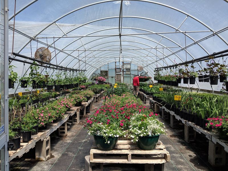 Greenhouses and Nursery Shopping Greenhouses and Nursery Shopping