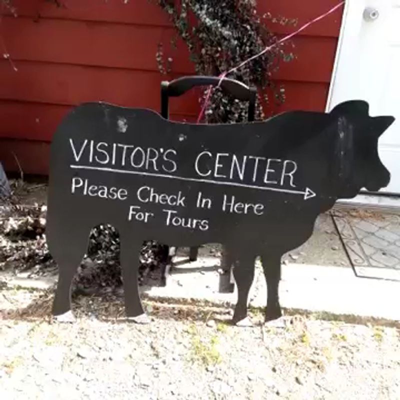 Guided Tours Full of Stories