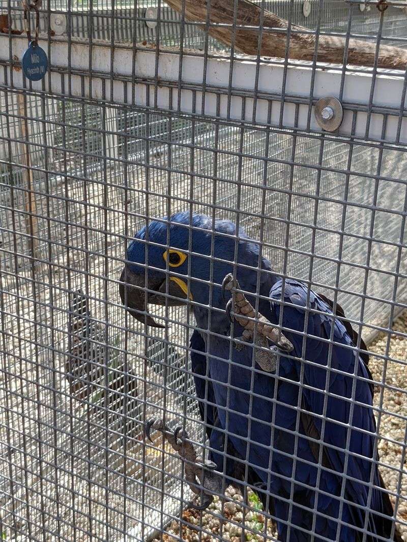 Guides Who Know Every Bird by Name