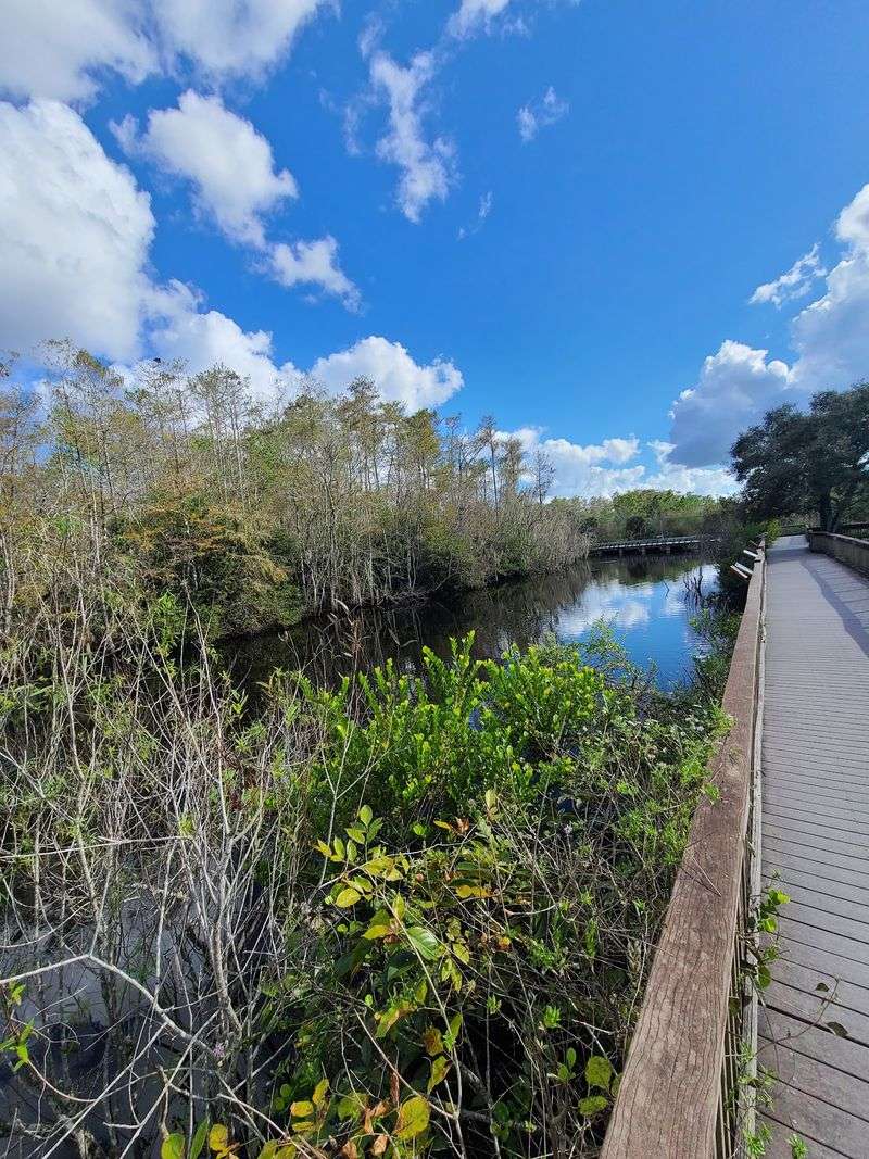 H.P. Williams Wayside Park, Ochopee, FL H.P. Williams Wayside Park, Ochopee, FL