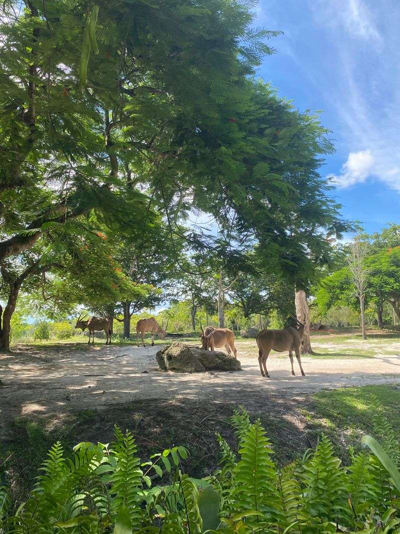 Habitats Built for Roaming Habitats Built for Roaming