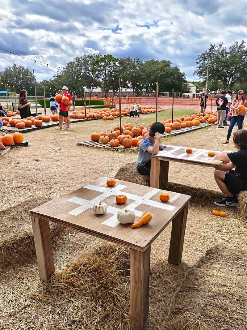 Hagerty Farms Pumpkin Patch, Oviedo, FL Hagerty Farms Pumpkin Patch, Oviedo, FL