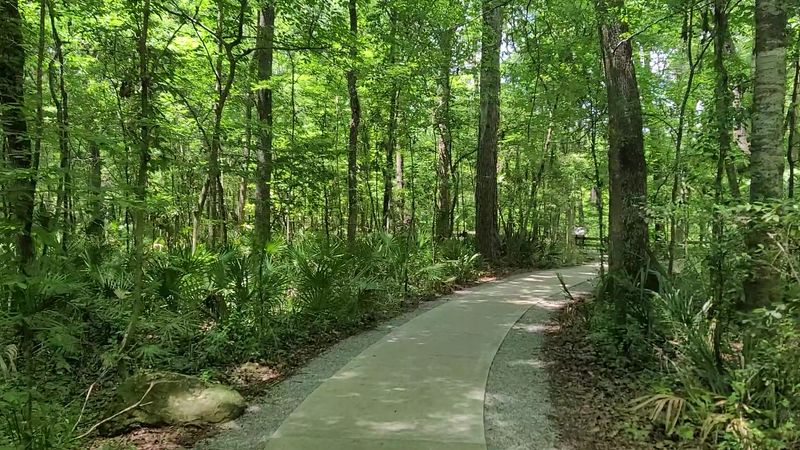 Half a Mile Around the Rim Half a Mile Around the Rim